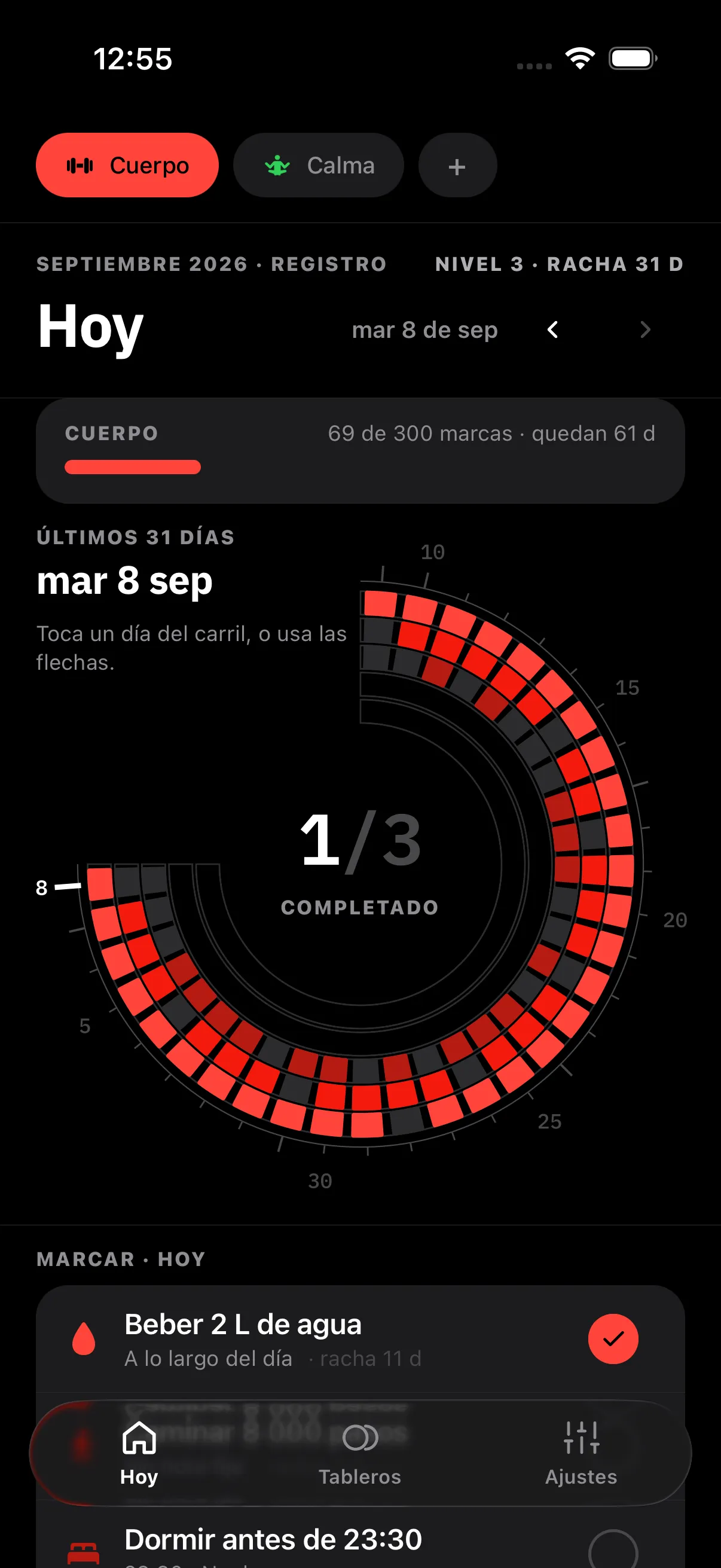 Gyre en el iPhone: la pantalla «Hoy» con el disco de los últimos 31 días y la lista para marcar debajo
